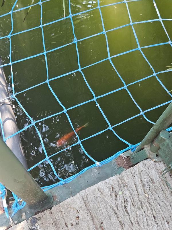 5 Bedroom Property for Sale in Wilkeville North West